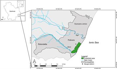 Proposed improvement of coastal habitat resilience: The case study of Pantano forest of Policoro in southern Italy